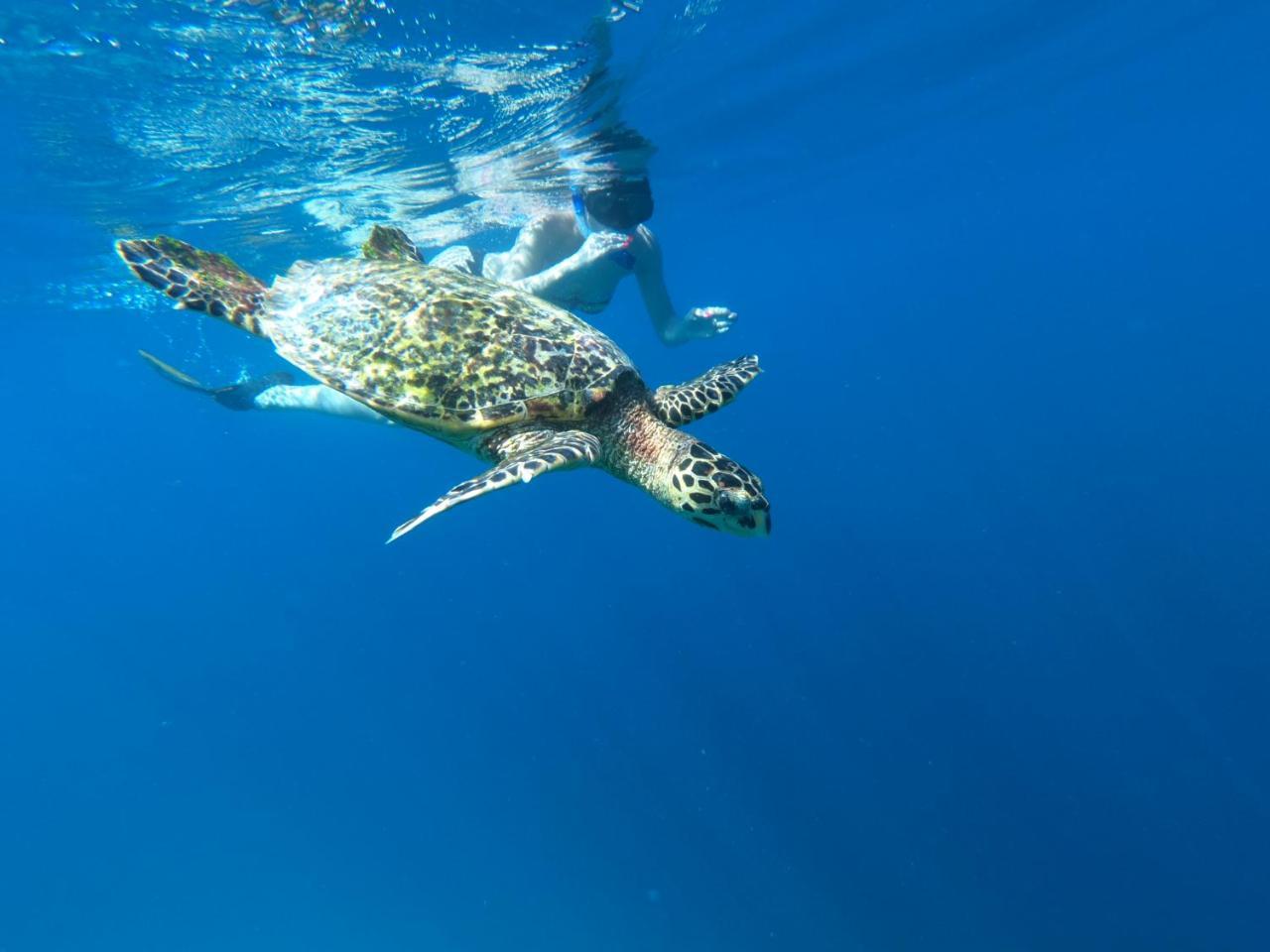 The Sunrise Huraa Ξενοδοχείο Εξωτερικό φωτογραφία